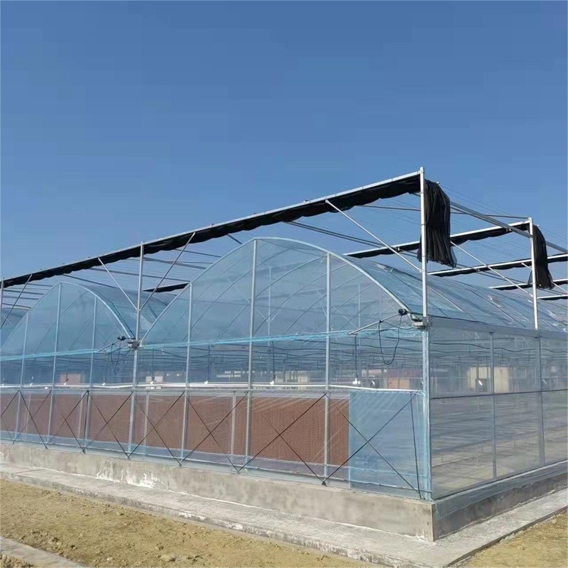 Hot DIP Galvanized Steel Multi Span Greenhouse / 2