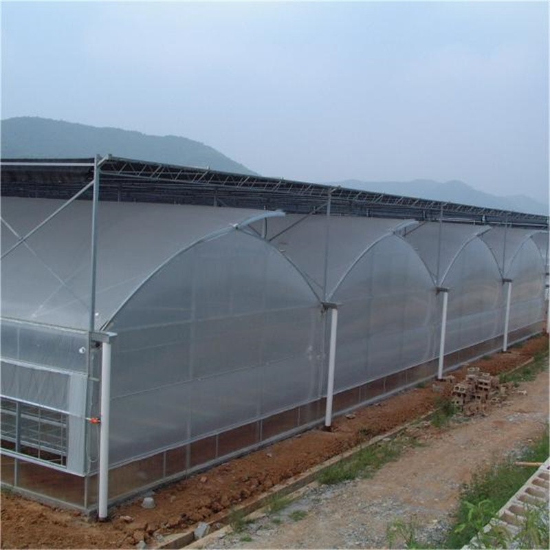 Hot DIP Galvanized Steel Multi Span Greenhouse / 3