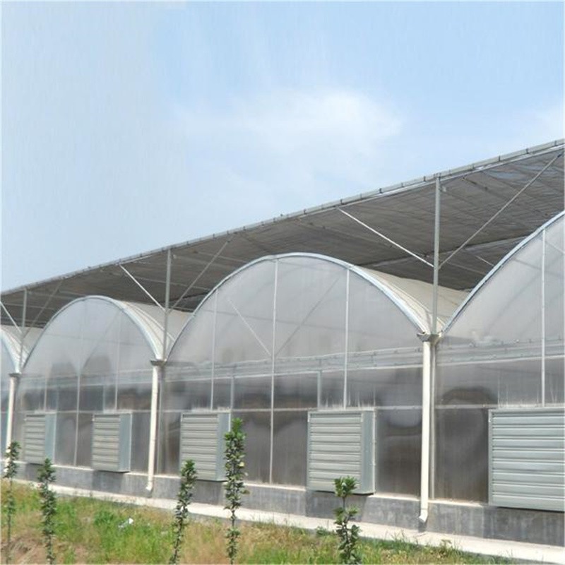 Hot DIP Galvanized Steel Multi Span Greenhouse / 4