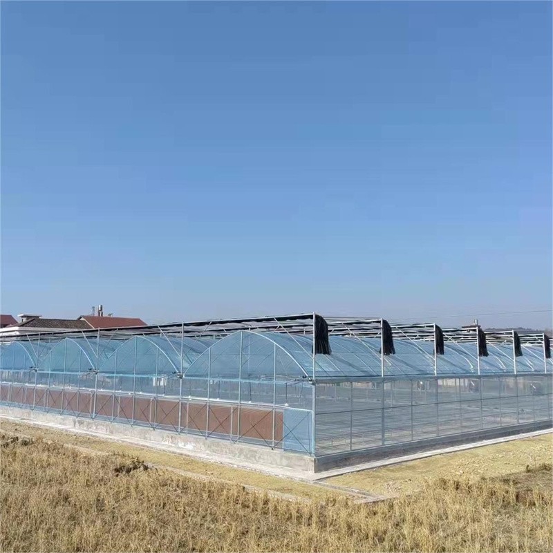 Arch type multi-span greenhouse