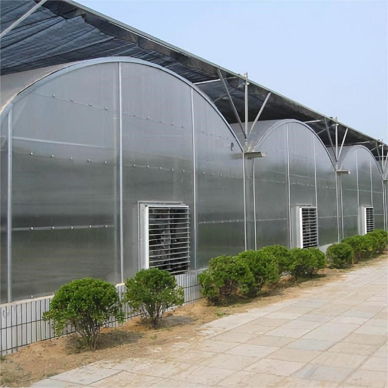 Arch type multi-span greenhouse / 4