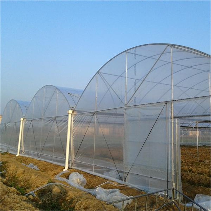 Arch type multi-span greenhouse / 2