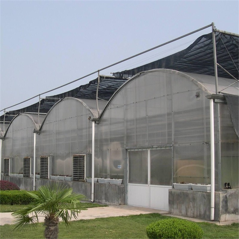 Arch type multi-span greenhouse / 3