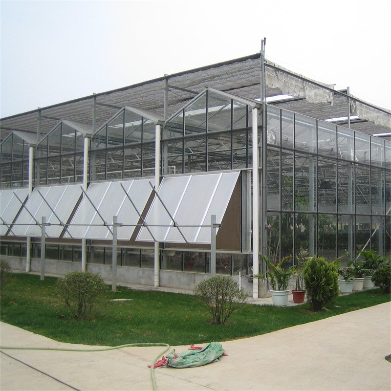 Multi span venlo type greenhouse / 3