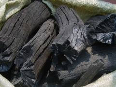 A charcoal ban has been implemented in northern Uganda, and the sharp rise in charcoal prices has pu