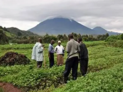 Uganda is vigorously developing organic agriculture, w