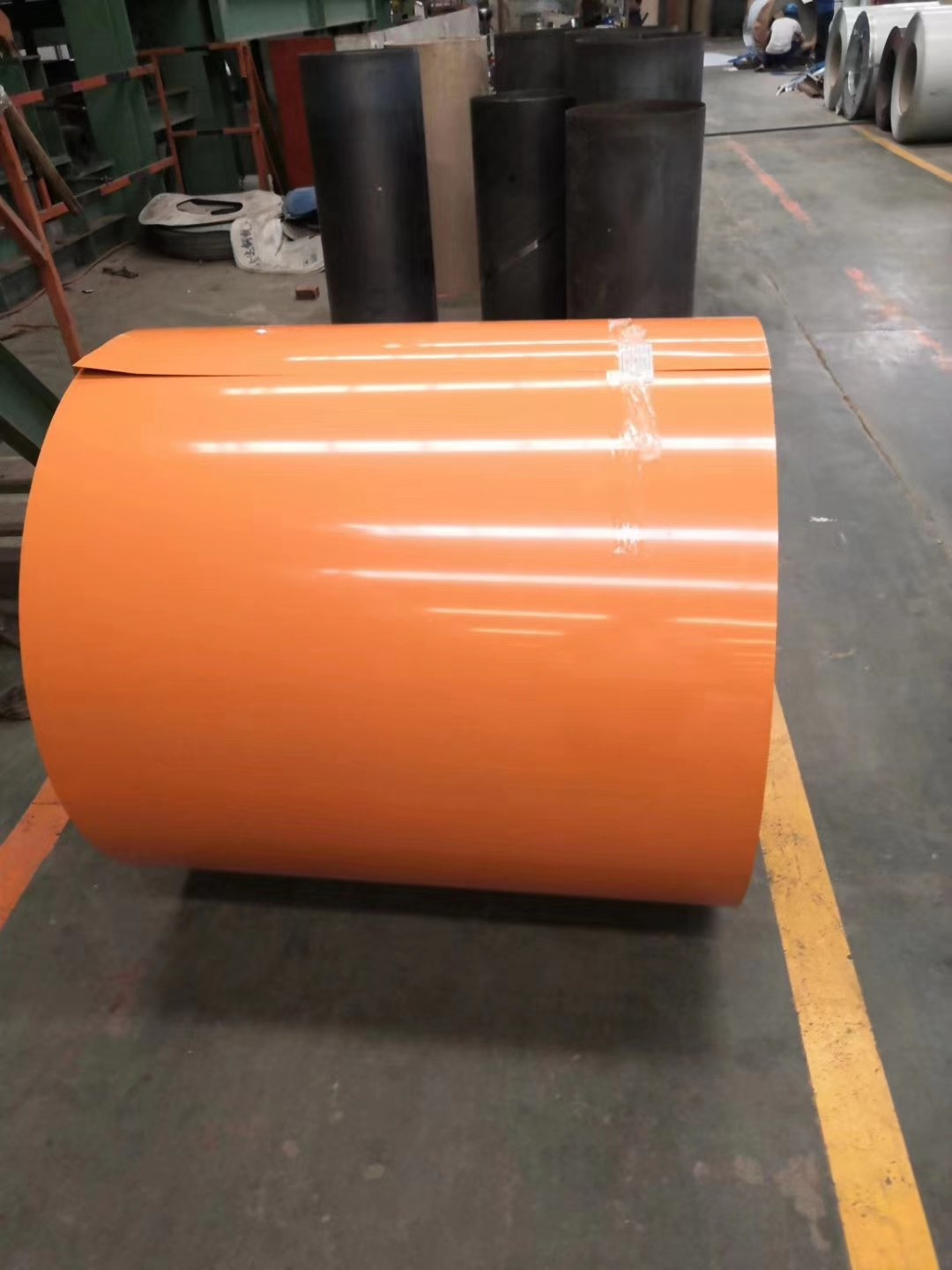 color coated steel coil importer/ppgi/ppgl / 5