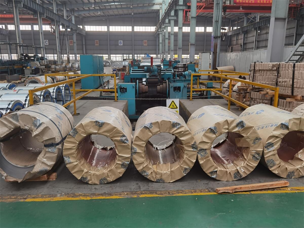 China prepainted galvanised steel coil ppgi coil / 4